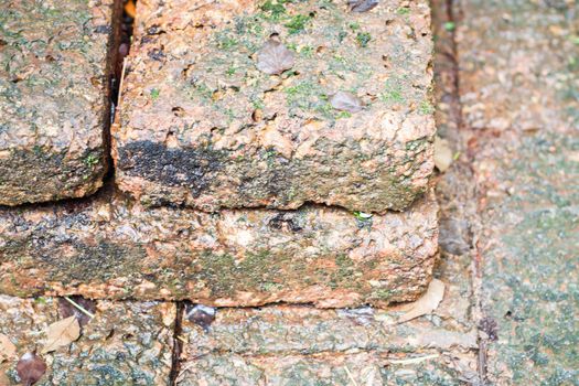 Close-up of laterite in garden, stock photo