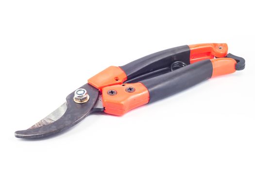 Pruner isolated on white background, stock photo