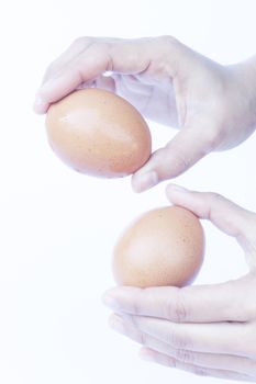 Hand holding eggs isolated on white background, stock photo isolated on white background, stock photo