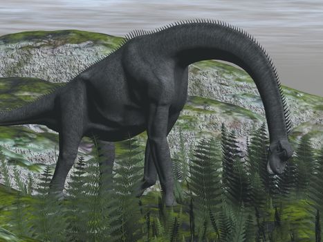 Brachiosaurus dinosaur eating fern on the ground - 3D render