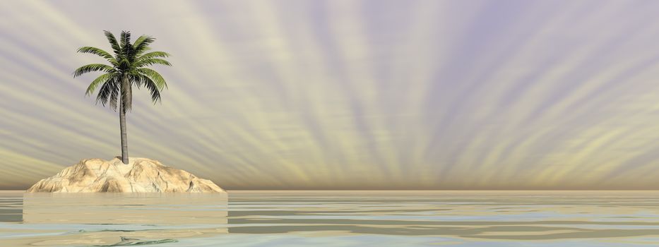 Palm tree on an island in the middle of the ocean by sunset - 3D render