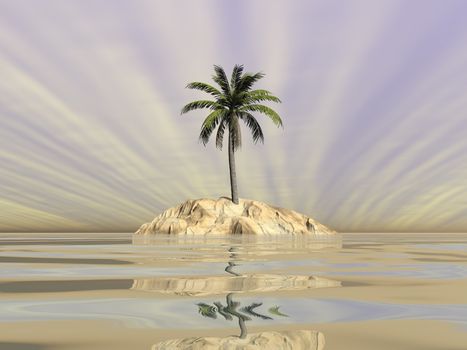 Palm tree on an island in the middle of the ocean by sunset - 3D render