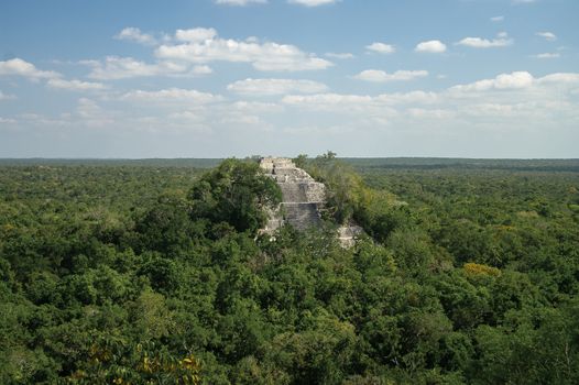 The pyramid structure of 1 in the complex rises over the jungle of Calakmul, Mexico