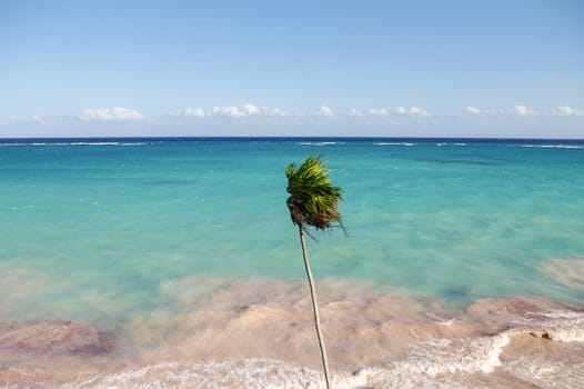 Wind on the coast of the Caribbean Sea, Mexico. Riviera Maya