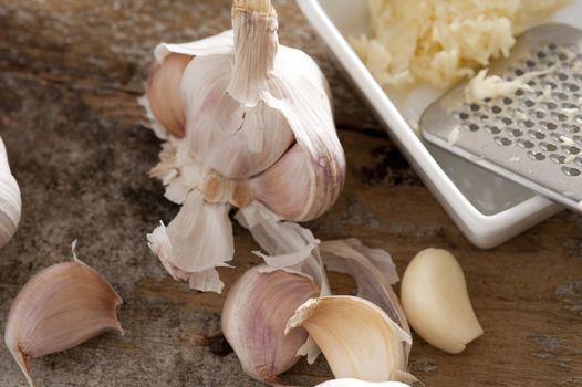 Preparing grated garlic for cooking with a fresh garlic bulb,, loose cloves both peeled and with skin on alongside a dish with a stainless steel grater