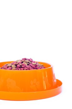 Dry cat food in orange bowl isolated on white background, stock photo