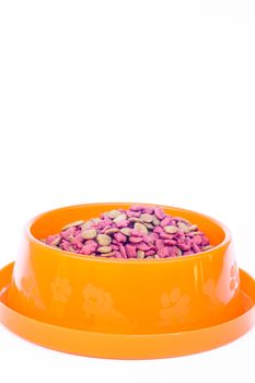 Dry cat food in orange bowl isolated on white background, stock photo