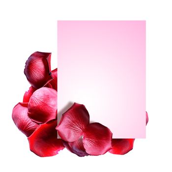 Blank greeting card between red rose petals on white background