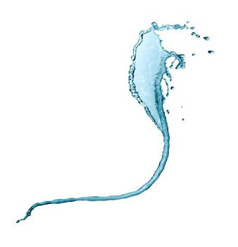 Snake made from water splash on white background