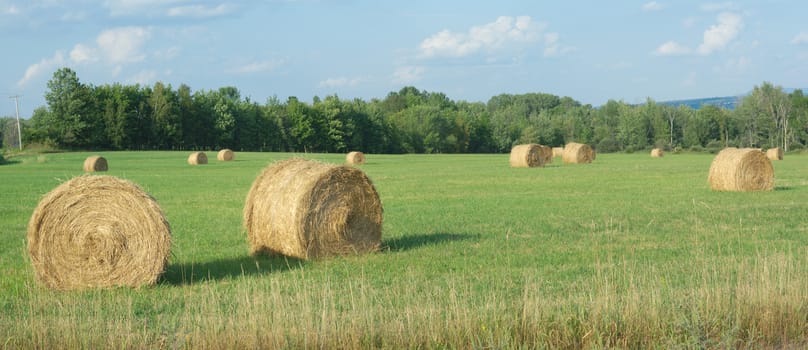 haystack bales in a field rural landscape country nature