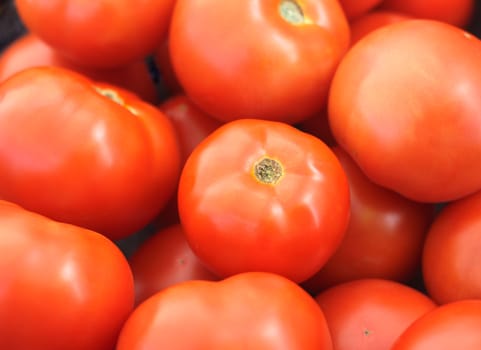 red tomatoes at the market, crop view background, harvest juicy organic