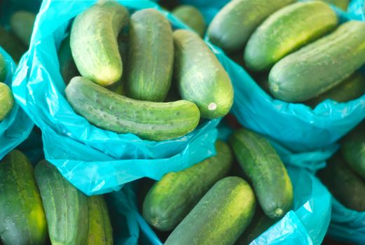 fresh cucumbers for sale at the market in green baskets