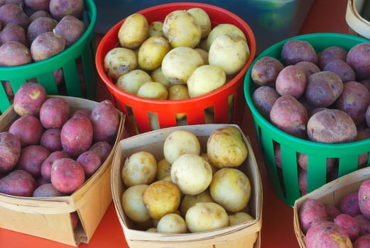 potatoes variety in baskets at the market