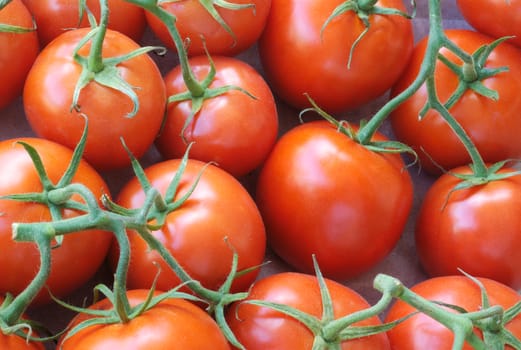 many fresh tomatoes at the market