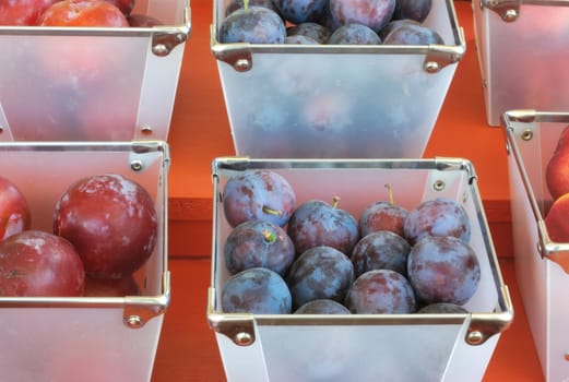 square baskets of plums fruits on red background