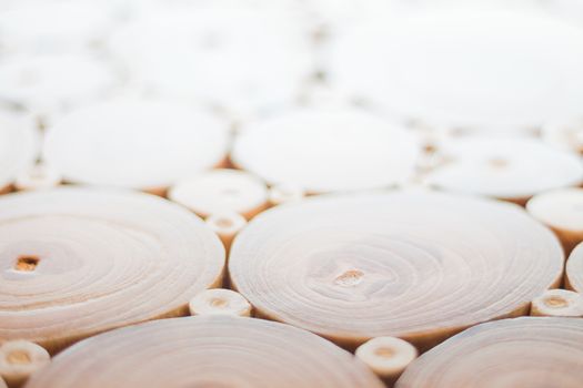 Wood texture of cut tree trunk, stock photo