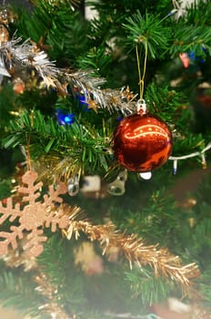 Red Christmas ball on tree. 