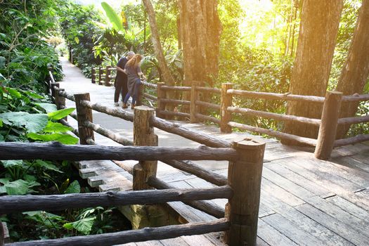 Tropical rainforest in asia with wood walk way
