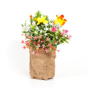 Bouquet of flowers