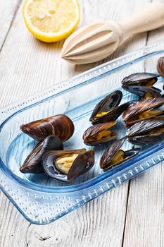 Spicy dish of cooked sea mussels and lemon sauce