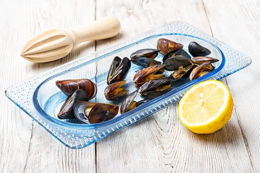 Spicy dish of cooked sea mussels and lemon sauce