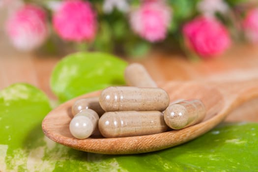 Capsules of herbs on spoon. healthy eating for healthy 
living.