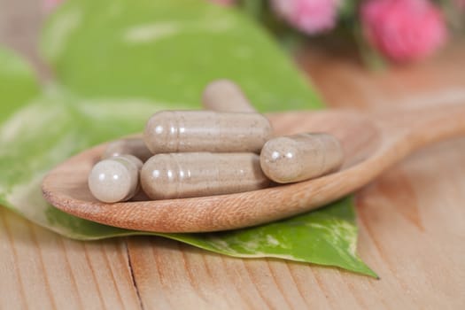 Capsules of herbs on spoon. healthy eating for healthy 
living.
