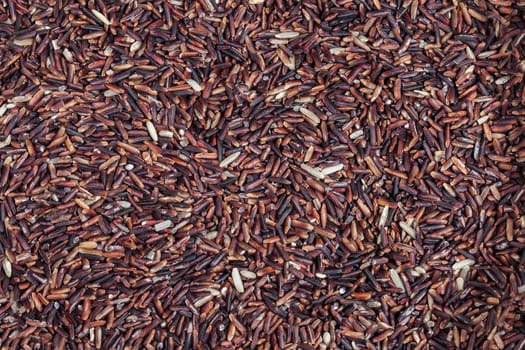 raw Rice berry  background
