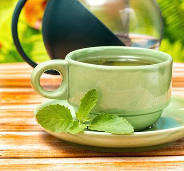 Tea With Mint Showing Refreshed Fresh And Beverage