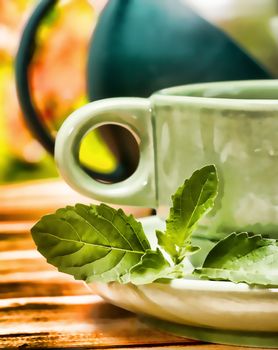 Mint Tea Refreshment Showing Drinks Fruits And Cafes