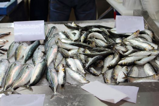 fish market in a southern europe cities