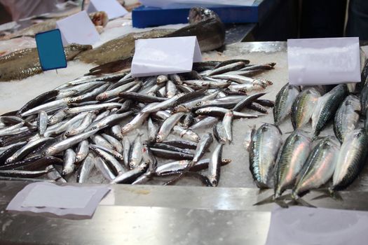 fish market in a southern europe cities