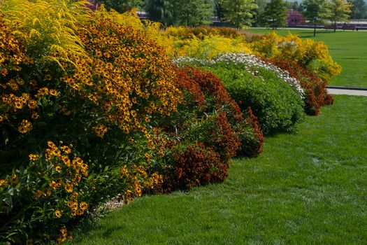 Spring landscape with different flowers meadow and green grass in park