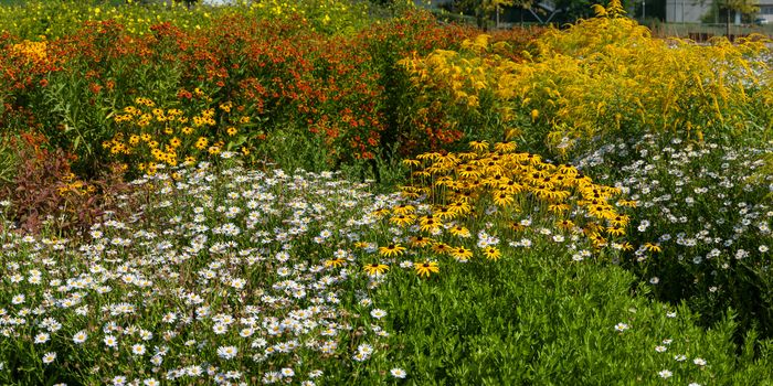 Spring landscape panorama with different flowers meadow and green grass in park