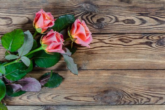 Beautiful rose flowers on wooden rustic table