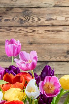 Rustic background with tulip flowers