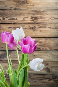 Rustic background with tulip flowers