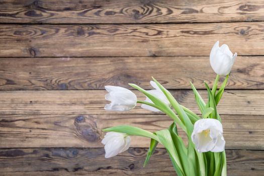 Rustic background with tulip flowers
