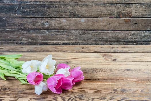 Pink and yellow tulip flowers on rustic wooden background 
