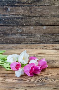 Pink and yellow tulip flowers on rustic wooden background 