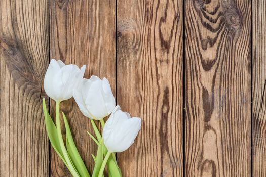 Beautiful tulip flowers on rustic wooden background 