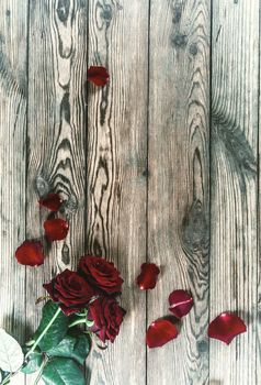 Vintage beautiful three red rose flowers with petal on rustic table