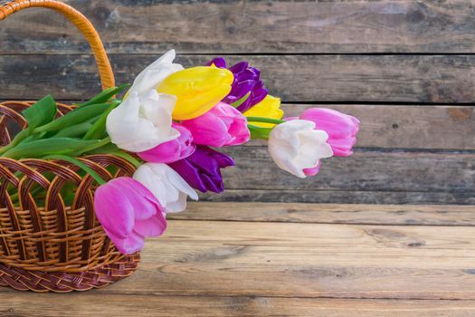 Beautiful tulip flowers on rustic wooden background 