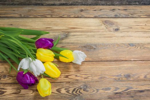 Beautiful tulip flowers on rustic wooden background 