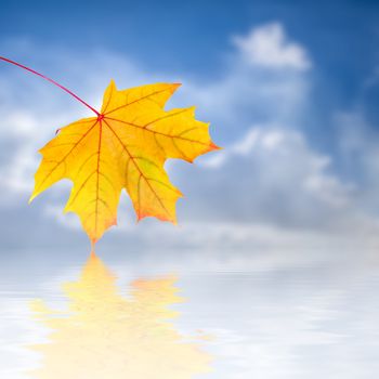 Autumn background with red, yellow and orange foliage