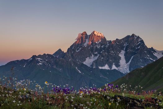 Flowery meadow and mountain Ushba at dawn