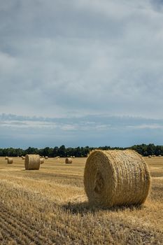 The sloping wheat field with haystacks