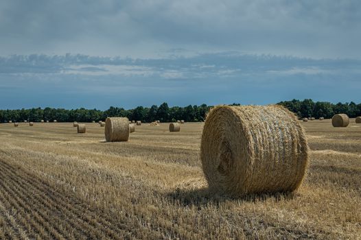 The sloping wheat field with haystacks