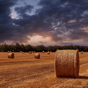 The sloping wheat field with haystacks on sunset