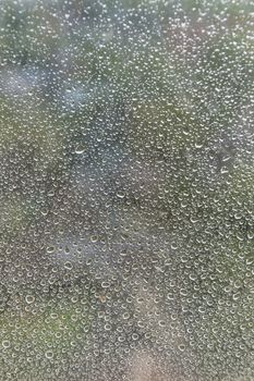 Drops of rain on window glass